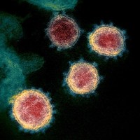 Content_coronavirus